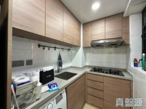 17874193428b4b9229-39a9-4f3b-aa5d-76bae638ab7b.jpeg 朗庭園 1座 - 28NTS – 香港北部都會區