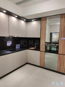SILICON HILL 1期 翠景閣 第2座 - 28NTS – 香港北部都會區