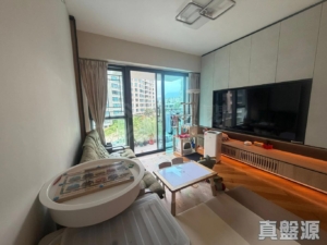 天賦海灣 1期 17座 - 28NTS – 香港北部都會區