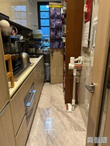天鑽 19座 - 28NTS – 香港北部都會區