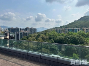 天鑽 19座 - 28NTS – 香港北部都會區