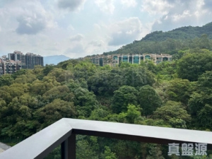 天鑽 19座 - 28NTS – 香港北部都會區