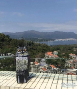 滌濤山 - 28NTS – 香港北部都會區
