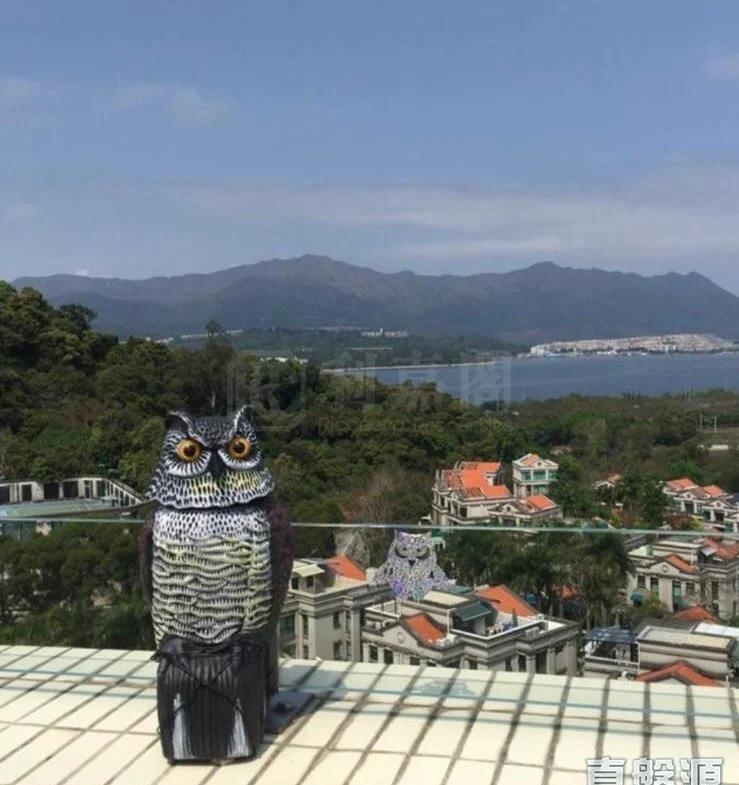 滌濤山 - 28NTS – 香港北部都會區