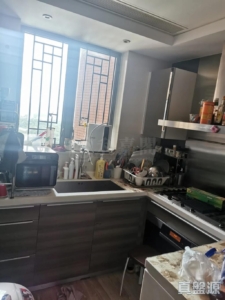 瓏山一號 - 28NTS – 香港北部都會區