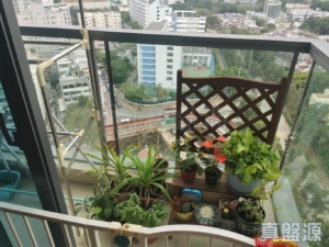瓏山一號 - 28NTS – 香港北部都會區