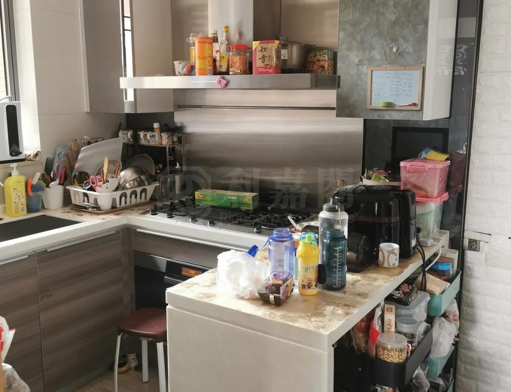 瓏山一號 - 28NTS – 香港北部都會區