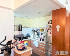 新峰花園 1期 11座 - 28NTS – 香港北部都會區