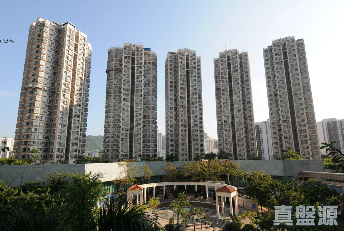 上水中心 6座 - 28NTS – 香港北部都會區