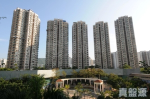 上水中心 6座 - 28NTS – 香港北部都會區