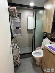 上水中心 6座 - 28NTS – 香港北部都會區