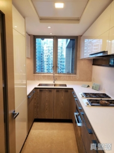 雲滙 2期 11座 - 28NTS – 香港北部都會區