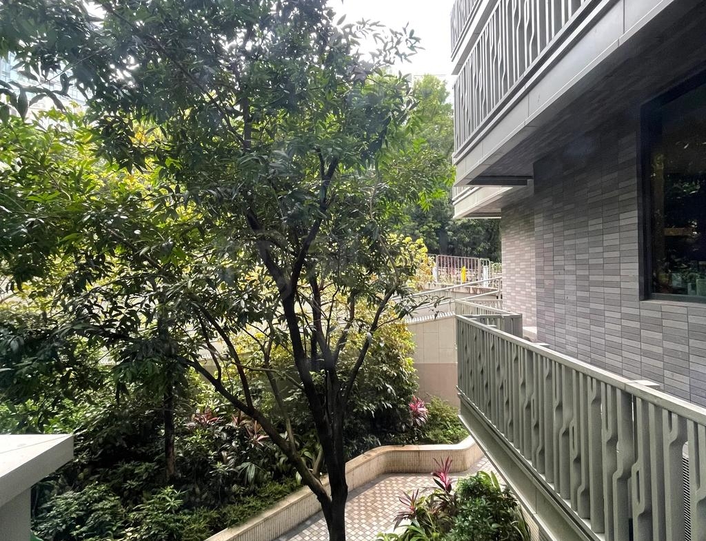富豪‧山峯 5座 - 28NTS – 香港北部都會區