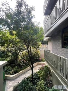 富豪‧山峯 5座 - 28NTS – 香港北部都會區