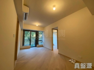 天鑽 11座 - 28NTS – 香港北部都會區