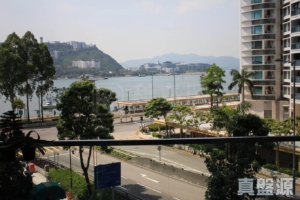 1787423725515f8fdb-4a3f-4f09-9e62-6faf6c35be73.jpeg 嵐岸 5座 - 28NTS – 香港北部都會區