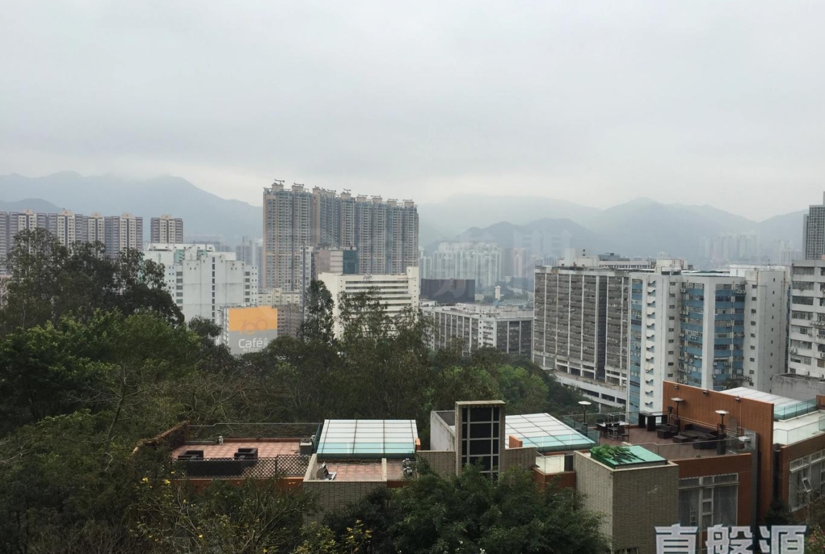 晉名峰 B座 - 28NTS – 香港北部都會區