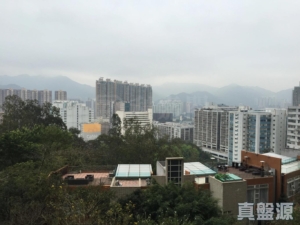 晉名峰 B座 - 28NTS – 香港北部都會區