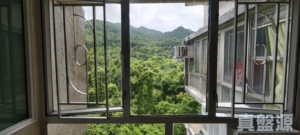 金獅花園 2期 金安閣 (C座) - 28NTS – 香港北部都會區