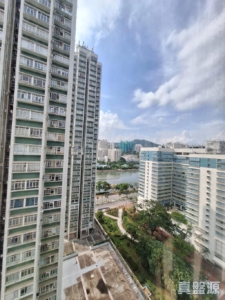 花園城 2期 雅碧苑 (1座) - 28NTS – 香港北部都會區