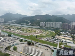 銀禧花園 5座 - 28NTS – 香港北部都會區