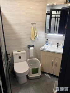 雅典居 6座 - 28NTS – 香港北部都會區