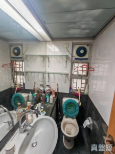 上水中心 5座 - 28NTS – 香港北部都會區