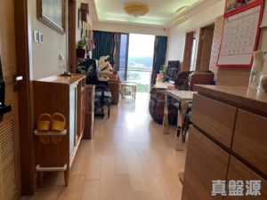 迎海 1期 1座 - 28NTS – 香港北部都會區
