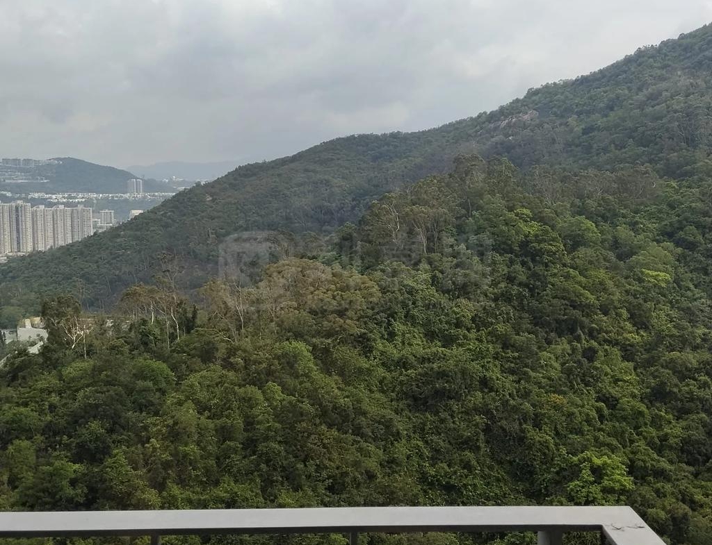 綠怡雅苑 2座 - 28NTS – 香港北部都會區