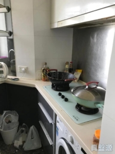 名城 2期 盛薈 3座 - 28NTS – 香港北部都會區