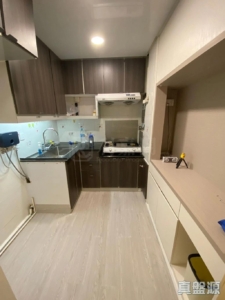 粉嶺中心 1期 C座 - 28NTS – 香港北部都會區