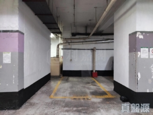 沙田中心 車位 - 28NTS – 香港北部都會區