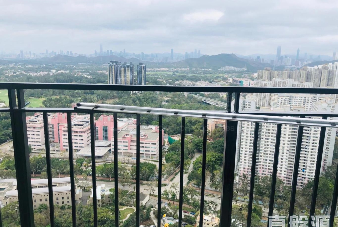 顯峯 - 28NTS – 香港北部都會區