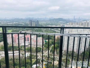 顯峯 - 28NTS – 香港北部都會區