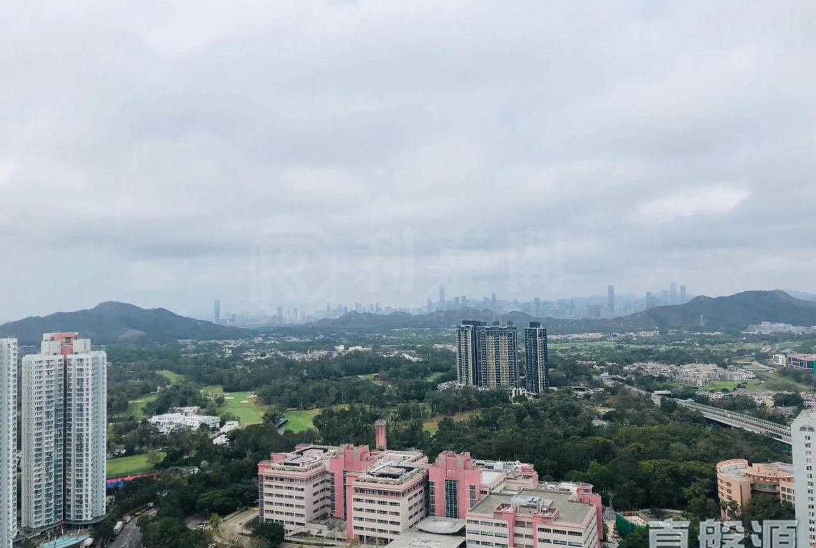 顯峯 - 28NTS – 香港北部都會區