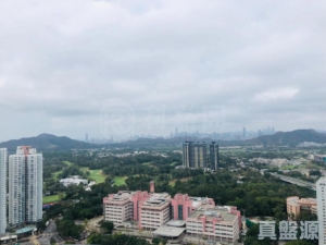 顯峯 - 28NTS – 香港北部都會區