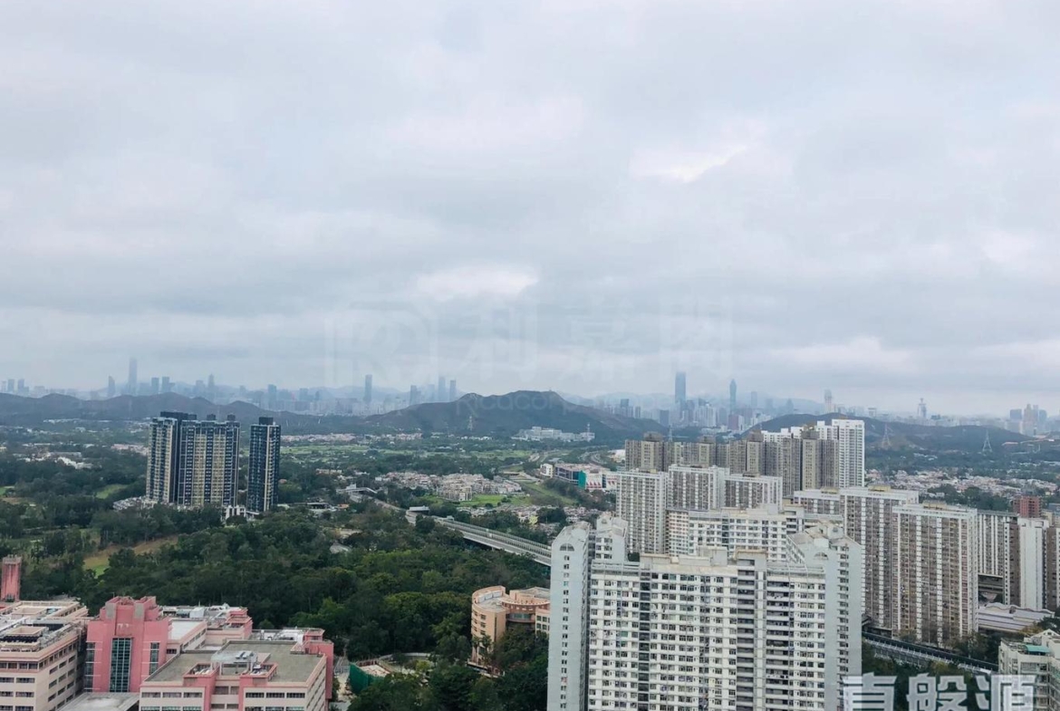 顯峯 - 28NTS – 香港北部都會區