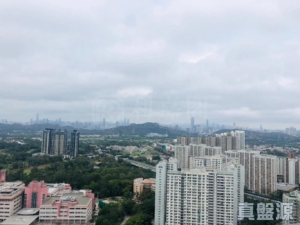 顯峯 - 28NTS – 香港北部都會區