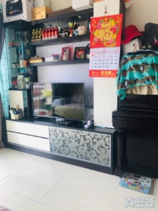 顯峯 - 28NTS – 香港北部都會區