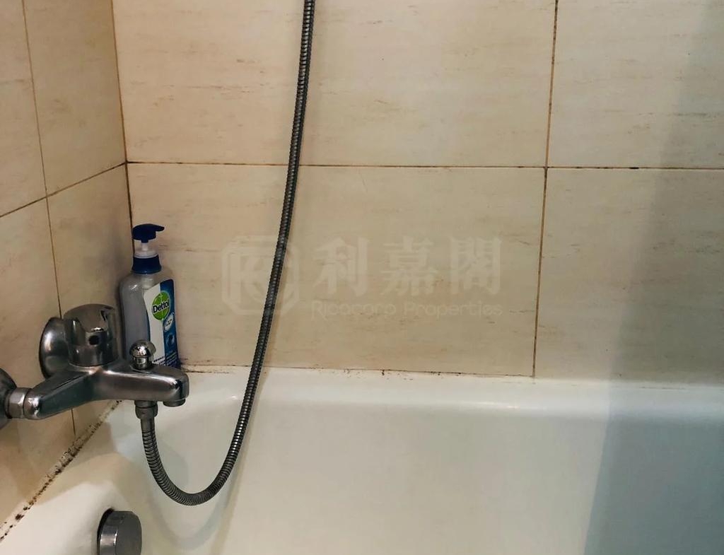 顯峯 - 28NTS – 香港北部都會區