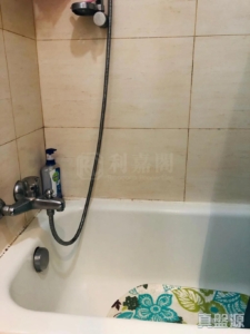 顯峯 - 28NTS – 香港北部都會區