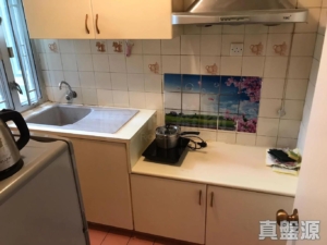 金輝花園 - 28NTS – 香港北部都會區