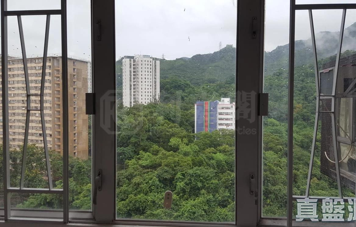 金獅花園 1期 金麗閣 (B座) - 28NTS – 香港北部都會區