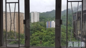 金獅花園 1期 金麗閣 (B座) - 28NTS – 香港北部都會區