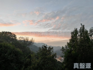 湖景花園 5座 - 28NTS – 香港北部都會區