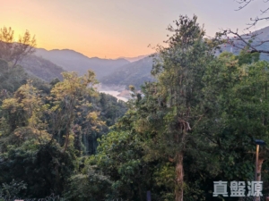 湖景花園 5座 - 28NTS – 香港北部都會區