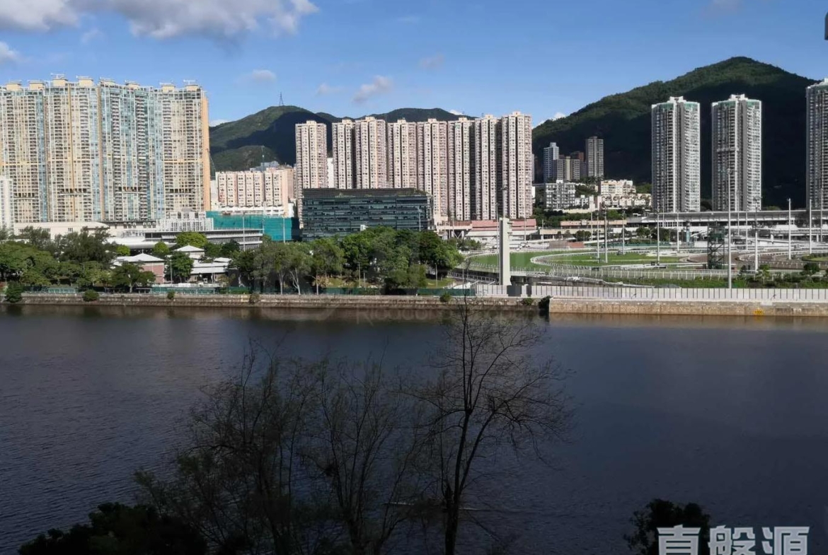 碧濤花園 1期 金蘭閣 (3座) - 28NTS – 香港北部都會區
