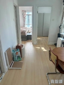 沙田第一城 3期 31座 - 28NTS – 香港北部都會區