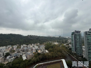 嵐山 1期 6座 - 28NTS – 香港北部都會區