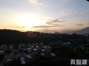嵐山 1期 6座 - 28NTS – 香港北部都會區